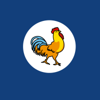 9
